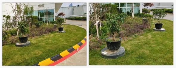 1583739954385685.jpg kangpu.jpg