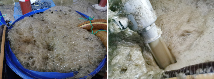 雙效濃縮器清洗 雙效濃縮器清洗