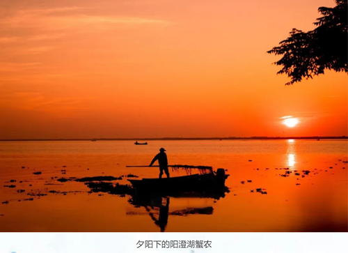 安峰環(huán)保.png 安峰環(huán)保.png