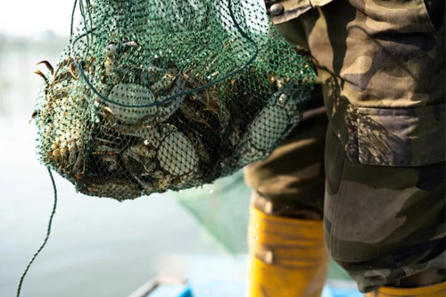 安峰環(huán)保.jpg 安峰環(huán)保.jpg