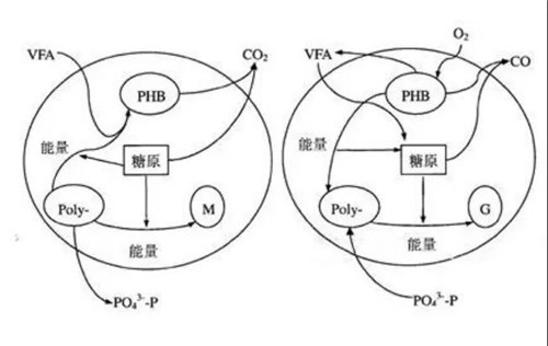 廢水除磷處理方法.jpg 廢水除磷處理方法.jpg