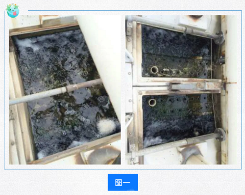 冷卻塔夏季藻類滋生處理方法png 冷卻塔夏季藻類滋生處理方法png