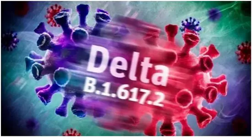 德爾塔毒株.png 德爾塔毒株.png