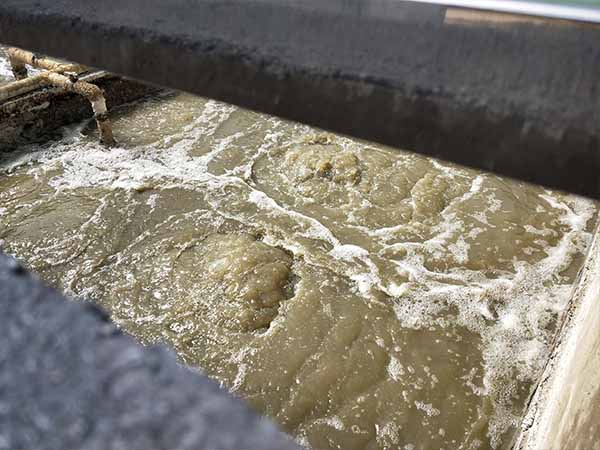 污水處理現(xiàn)場 污水處理現(xiàn)場