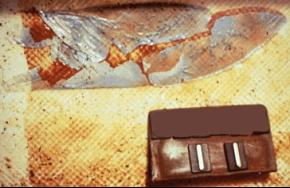 安峰環(huán)保.png 安峰環(huán)保.png