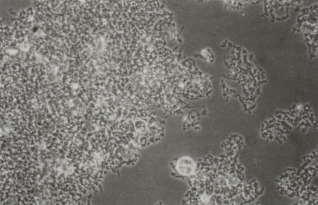 安峰環(huán)保.png 安峰環(huán)保.png