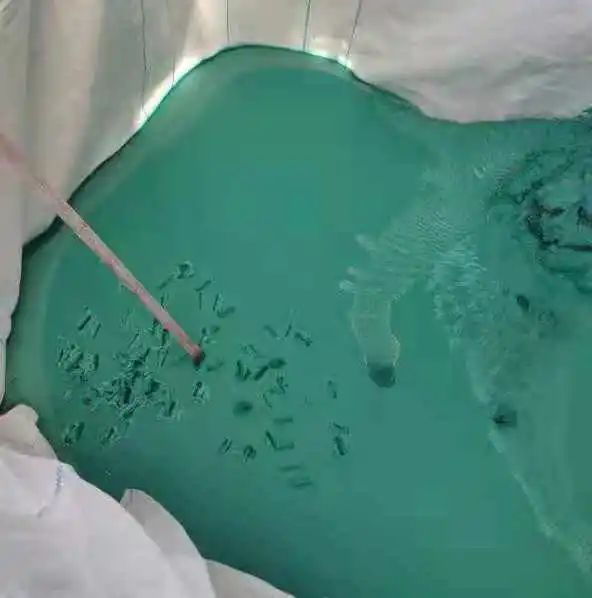 蒸發(fā)器實(shí)際出渣效果.jpg 蒸發(fā)器實(shí)際出渣效果.jpg